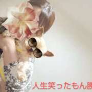 ヒメ日記 2025/04/14 11:20 投稿 れい 奥鉄オクテツ奈良