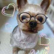 ヒメ日記 2025/04/21 15:32 投稿 れい 奥鉄オクテツ奈良