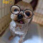 ヒメ日記 2025/04/30 15:39 投稿 れい 奥鉄オクテツ奈良