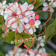 ヒメ日記 2025/05/02 18:03 投稿 れい 奥鉄オクテツ奈良