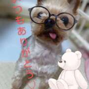 ヒメ日記 2025/05/05 14:34 投稿 れい 奥鉄オクテツ奈良