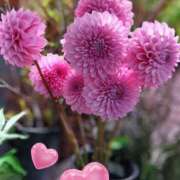 ヒメ日記 2025/05/08 14:11 投稿 れい 奥鉄オクテツ奈良