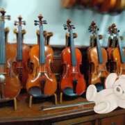 ヒメ日記 2025/05/09 21:02 投稿 れい 奥鉄オクテツ奈良