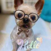 ヒメ日記 2025/06/05 23:58 投稿 れい 奥鉄オクテツ奈良