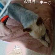 ヒメ日記 2025/06/23 10:49 投稿 れい 奥鉄オクテツ奈良