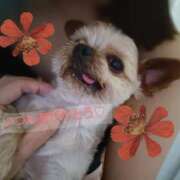 ヒメ日記 2025/06/24 12:39 投稿 れい 奥鉄オクテツ奈良