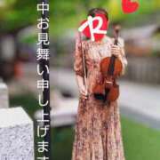 ヒメ日記 2025/06/28 11:26 投稿 れい 奥鉄オクテツ奈良