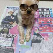 ヒメ日記 2025/07/07 22:52 投稿 れい 奥鉄オクテツ奈良