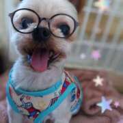 ヒメ日記 2025/07/15 14:59 投稿 れい 奥鉄オクテツ奈良