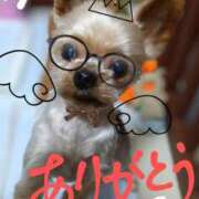 ヒメ日記 2025/07/21 04:26 投稿 れい 奥鉄オクテツ奈良