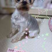 ヒメ日記 2025/07/28 17:06 投稿 れい 奥鉄オクテツ奈良