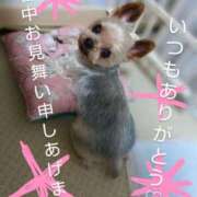 ヒメ日記 2025/08/15 00:16 投稿 れい 奥鉄オクテツ奈良