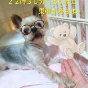 ヒメ日記 2025/10/13 18:27 投稿 れい 奥鉄オクテツ奈良