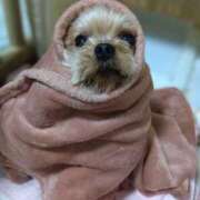 ヒメ日記 2025/11/08 19:01 投稿 れい 奥鉄オクテツ奈良