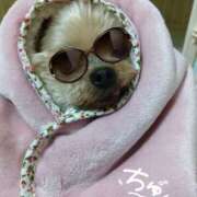 ヒメ日記 2025/12/23 20:57 投稿 れい 奥鉄オクテツ奈良