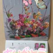 ヒメ日記 2026/01/08 05:02 投稿 れい 奥鉄オクテツ奈良