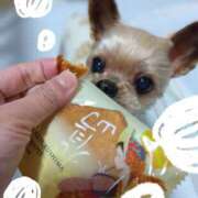 ヒメ日記 2026/01/21 15:11 投稿 れい 奥鉄オクテツ奈良