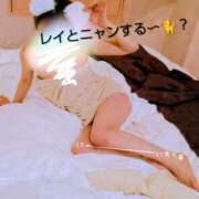 ヒメ日記 2026/02/18 08:53 投稿 れい 奥鉄オクテツ奈良