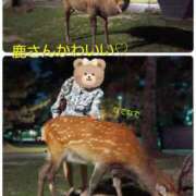 ヒメ日記 2026/02/27 18:55 投稿 れい 奥鉄オクテツ奈良