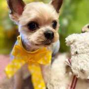 ヒメ日記 2026/03/04 17:24 投稿 れい 奥鉄オクテツ奈良