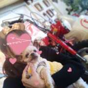 ヒメ日記 2026/03/10 22:28 投稿 れい 奥鉄オクテツ奈良