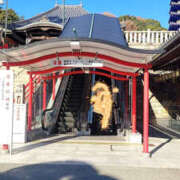 ヒメ日記 2024/12/16 18:21 投稿 しらゆり 奥鉄オクテツ奈良