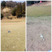 ヒメ日記 2025/01/09 13:10 投稿 しらゆり 奥鉄オクテツ奈良