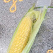 ヒメ日記 2025/06/27 09:58 投稿 しらゆり 奥鉄オクテツ奈良