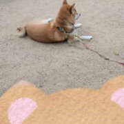 ヒメ日記 2025/06/30 07:09 投稿 しらゆり 奥鉄オクテツ奈良