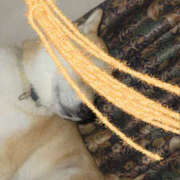 ヒメ日記 2025/07/05 20:12 投稿 しらゆり 奥鉄オクテツ奈良