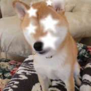 ヒメ日記 2025/07/26 09:09 投稿 しらゆり 奥鉄オクテツ奈良