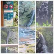 ヒメ日記 2025/08/18 14:37 投稿 しらゆり 奥鉄オクテツ奈良