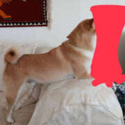 ヒメ日記 2025/09/07 20:17 投稿 しらゆり 奥鉄オクテツ奈良