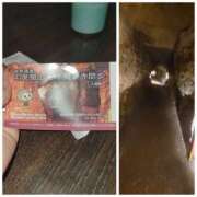 ヒメ日記 2025/09/10 16:56 投稿 しらゆり 奥鉄オクテツ奈良