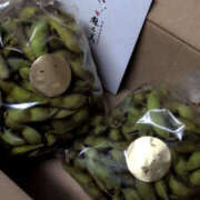 ヒメ日記 2025/10/25 19:33 投稿 しらゆり 奥鉄オクテツ奈良