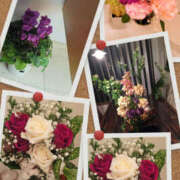 ヒメ日記 2025/11/08 09:17 投稿 しらゆり 奥鉄オクテツ奈良