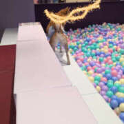 ヒメ日記 2025/11/25 13:00 投稿 しらゆり 奥鉄オクテツ奈良