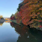 ヒメ日記 2025/12/01 13:10 投稿 しらゆり 奥鉄オクテツ奈良