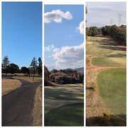 ヒメ日記 2025/12/03 20:27 投稿 しらゆり 奥鉄オクテツ奈良