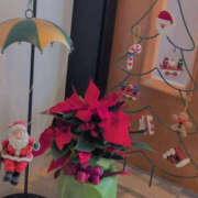 ヒメ日記 2025/12/11 11:43 投稿 しらゆり 奥鉄オクテツ奈良