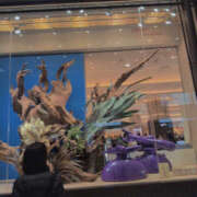 ヒメ日記 2025/12/29 16:25 投稿 しらゆり 奥鉄オクテツ奈良