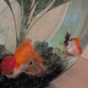 ヒメ日記 2026/01/24 18:56 投稿 しらゆり 奥鉄オクテツ奈良