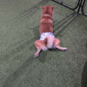 ヒメ日記 2026/02/04 15:16 投稿 しらゆり 奥鉄オクテツ奈良