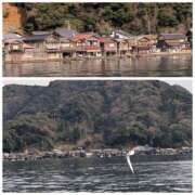 ヒメ日記 2026/02/20 20:10 投稿 しらゆり 奥鉄オクテツ奈良