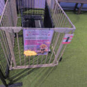 ヒメ日記 2026/03/17 09:57 投稿 しらゆり 奥鉄オクテツ奈良