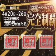 ヒメ日記 2026/04/20 16:15 投稿 おとは 奥鉄オクテツ和歌山