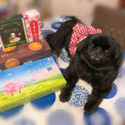 ヒメ日記 2025/04/17 22:00 投稿 りつこ 奥鉄オクテツ奈良