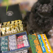 ヒメ日記 2025/09/04 22:25 投稿 りつこ 奥鉄オクテツ奈良