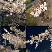 ヒメ日記 2026/04/03 22:20 投稿 りつこ 奥鉄オクテツ奈良