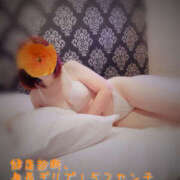 ヒメ日記 2025/01/26 10:28 投稿 のりこ 奥鉄オクテツ奈良